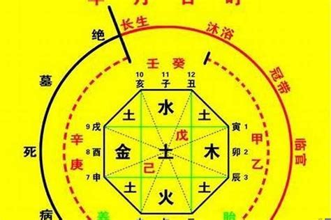 天干地支算命|生辰八字算命、五行喜用神查询（免费测算）